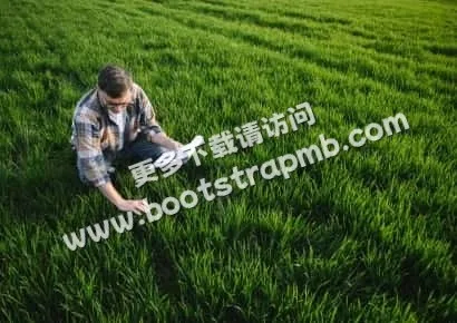 探索体育的魅力 - 博鱼