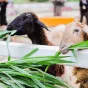 探索体育的魅力 - 博鱼