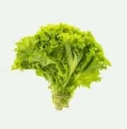 我们致力于为全球体育爱好者提供最专业、最便捷、最精彩的赛事观看体验。 - 博鱼
